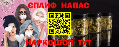 стафф Будённовск