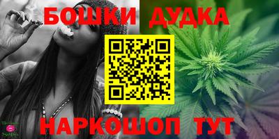 стафф Будённовск