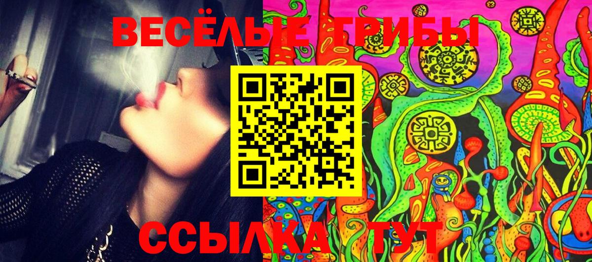 Уварово  Псилоцибиновые грибы Psilocybe  Вход с VPN  где найти   Галлюциногенные грибы GOLDEN TEACHER 