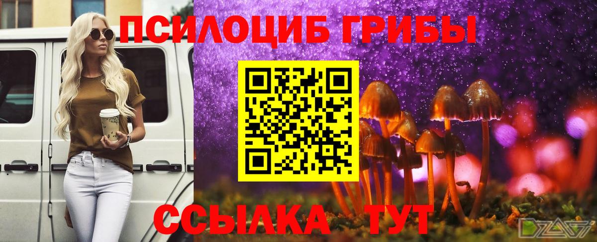 Псилоцибиновые грибы Cubensis Уварово